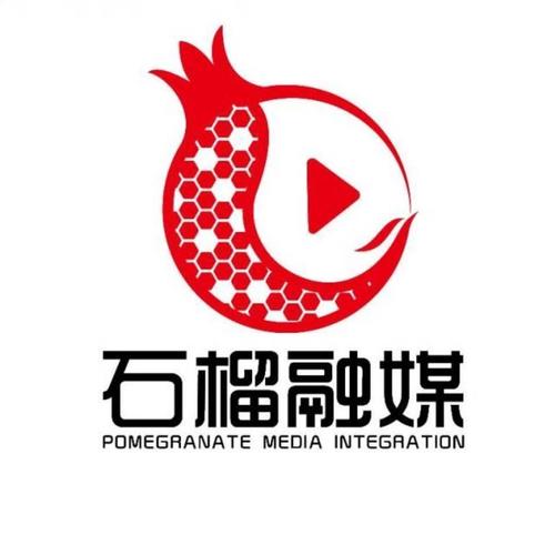 新疆石榴融媒与有融信息 数字时代下的媒体融合与信息服务创新